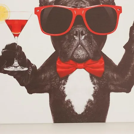 50224... Carolinensiel